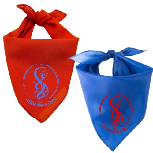 Foulard ASB Gym